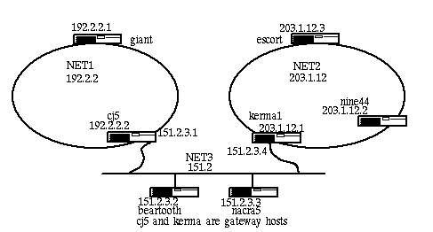 [Net Address Diagram]